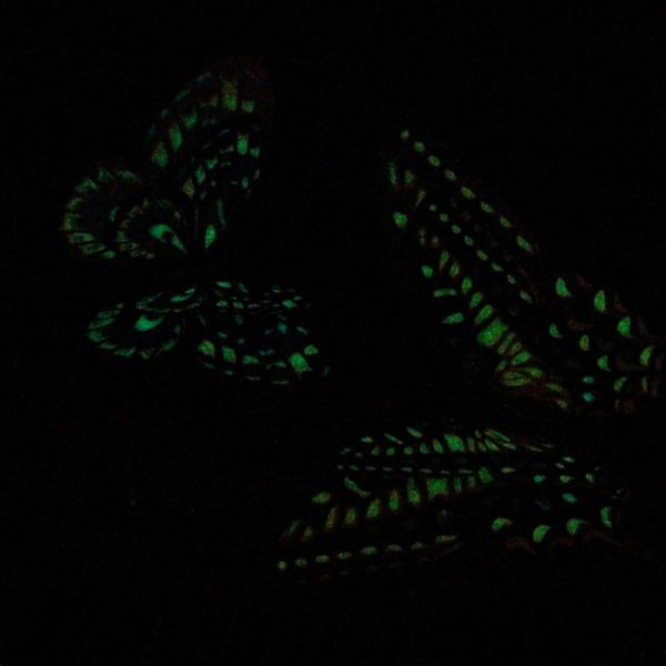 Glow in the Dark Butterflies