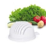 Salad Cutter Bowl