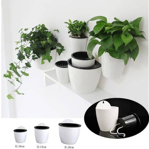 Self Watering Plant Pot