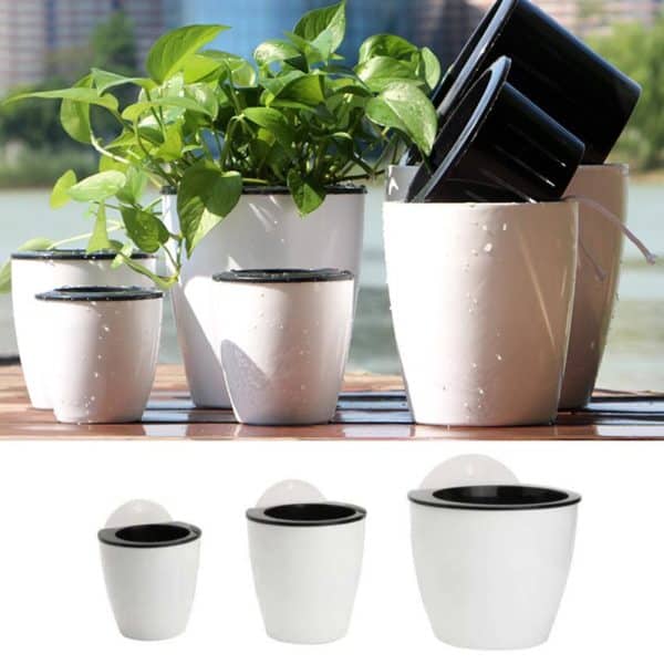 Self Watering Plant Pot