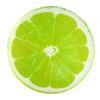 Tropical Fruit Cushion Lemon