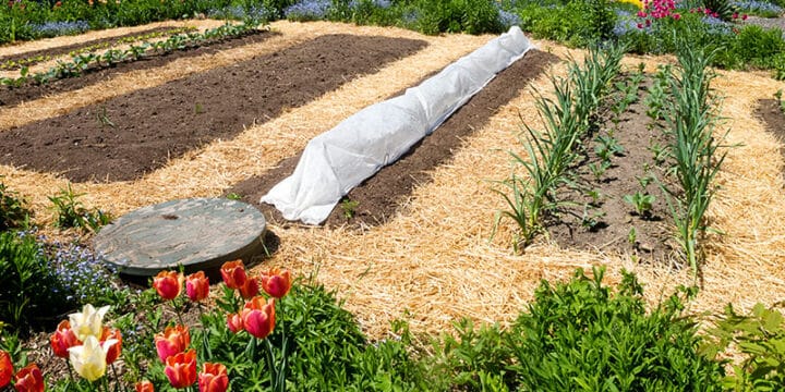 How to till a garden without a tiller