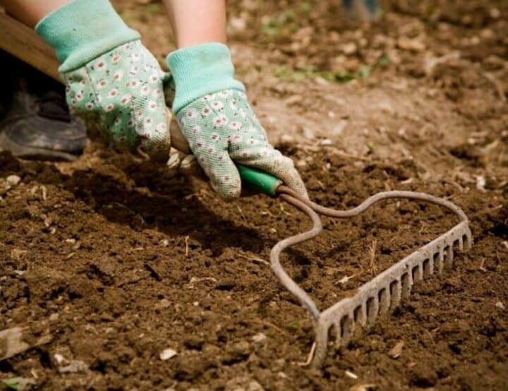How to till a garden without a tiller - by hand