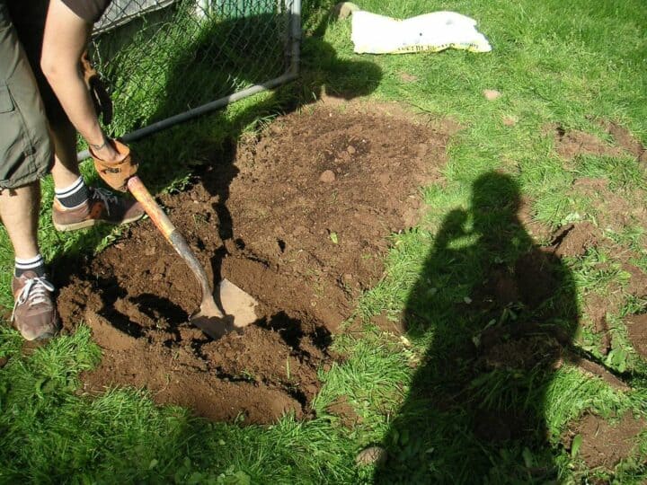 How to till a garden without a tiller - shovel
