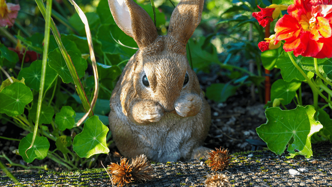 how to keep rabbits out of your garden with ivory soap