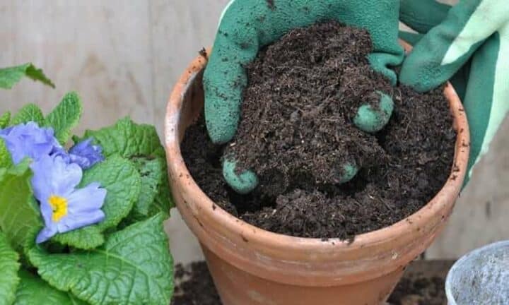 how to wash gardening gloves: holding soil with garden gloves