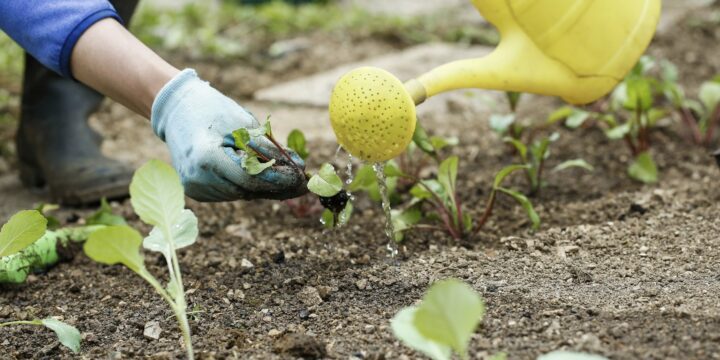 what to do with old garden soil