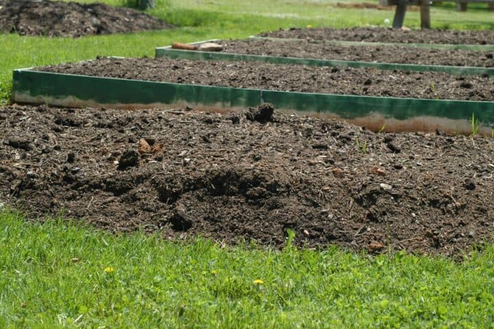 what to do with old garden soil? Garden bed.