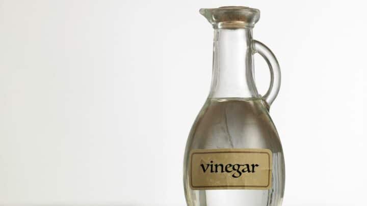 which common kitchen liquid will dissolve a pearl - vinegar